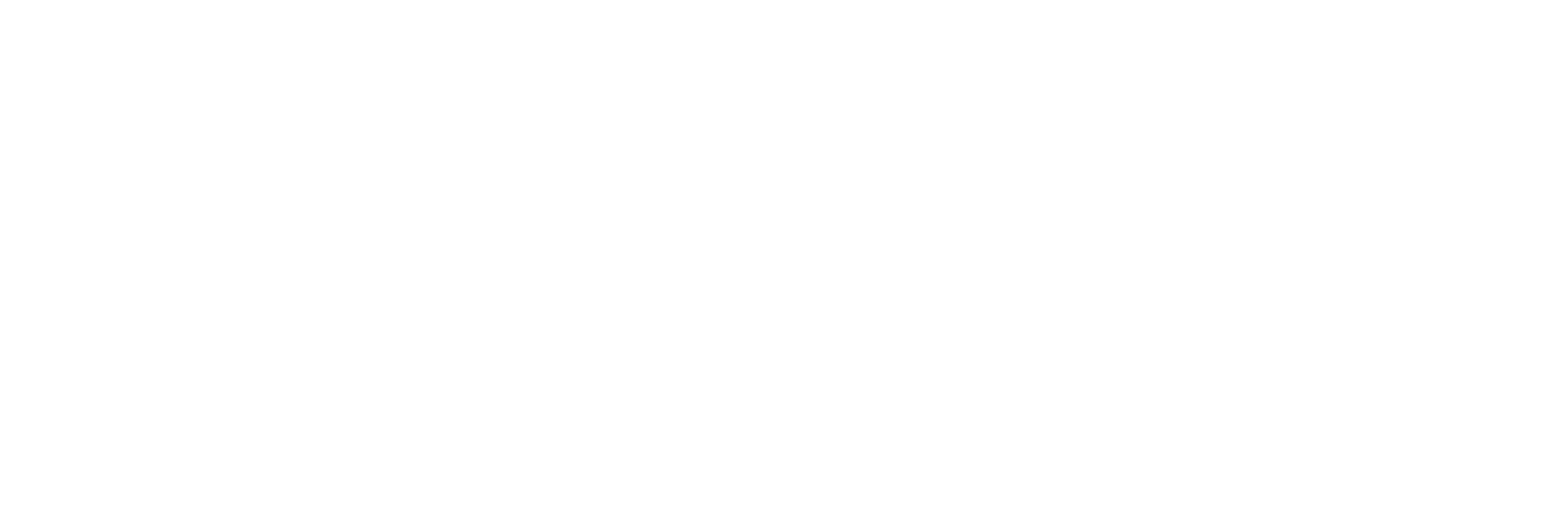 Mammoth Mailer
